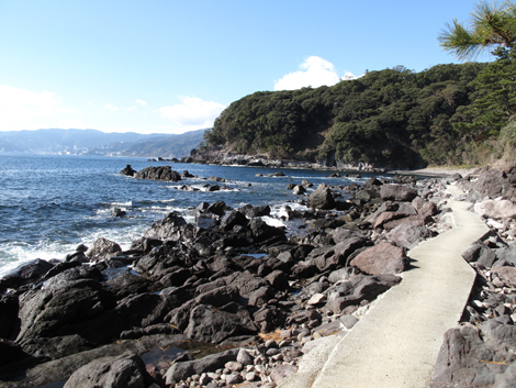 20190118hike (63)